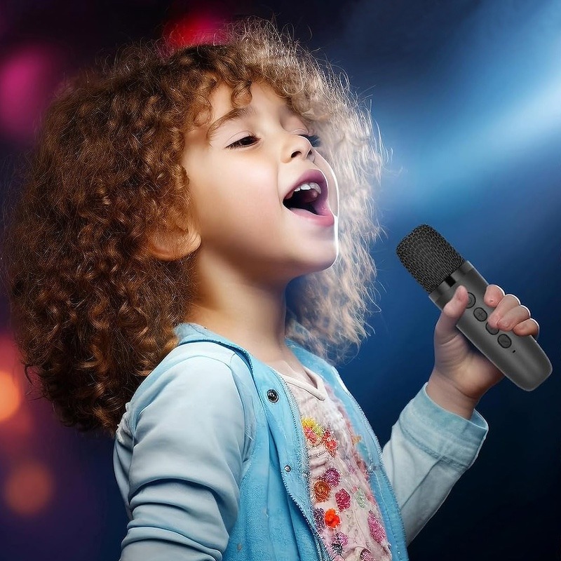 Портативная беспроводная караоке система Bluetooth колонка + два микрофона Y1